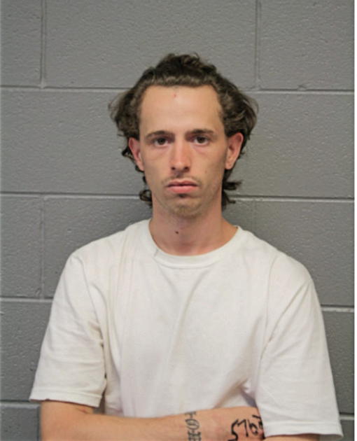 NICHOLAS C SESSUM, Cook County, Illinois