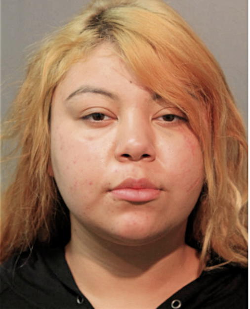 JEANETTE R VARGAS, Cook County, Illinois