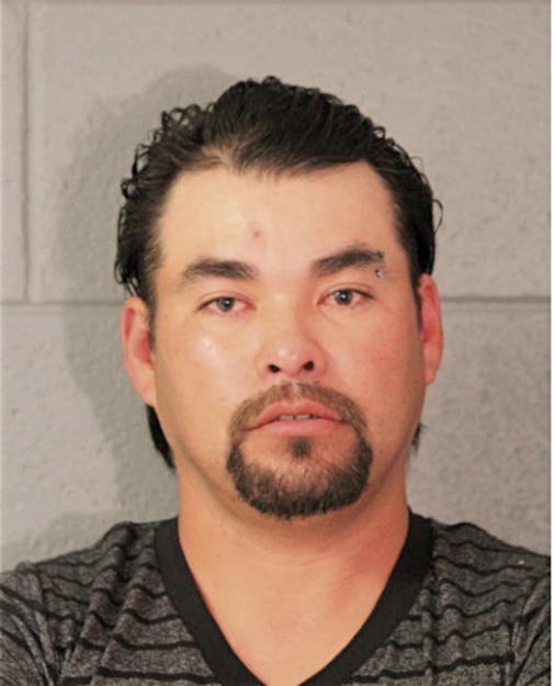 OSCAR VEGA-CANELO, Cook County, Illinois