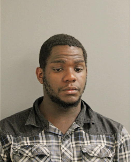 DOMINIQUE T WILLIS, Cook County, Illinois