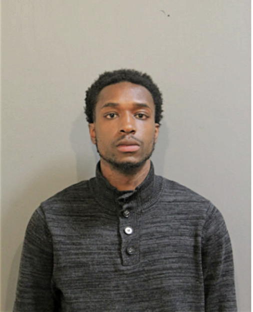 LARRY J WILSON, Cook County, Illinois