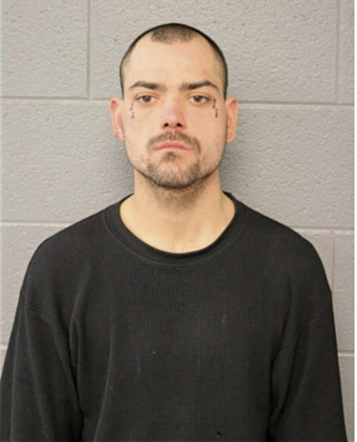 CHRISTOPHER A WORKS, Cook County, Illinois
