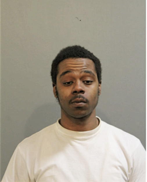 DAVID D BROWN, Cook County, Illinois