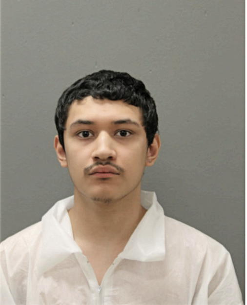 CHRISTIAN CAMARENA, Cook County, Illinois