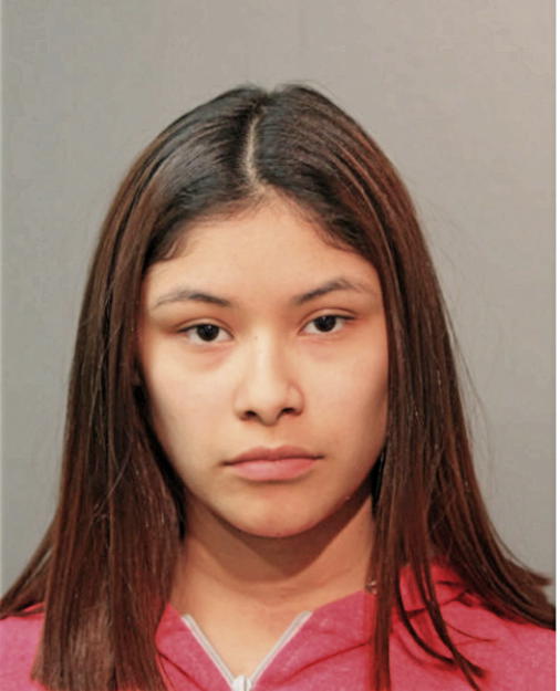 KARLA G DELGADO, Cook County, Illinois