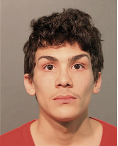 CARLOS X FLORES, Cook County, Illinois