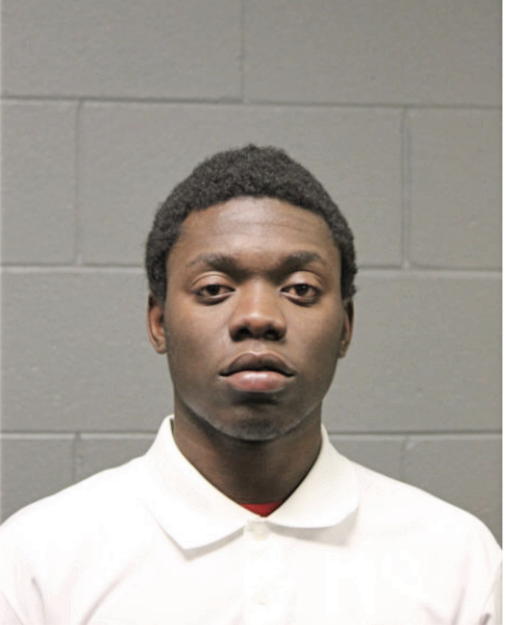 TERRANCE T FREEMAN, Cook County, Illinois