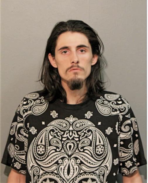 DAVID MICHAEL MCCARTER, Cook County, Illinois