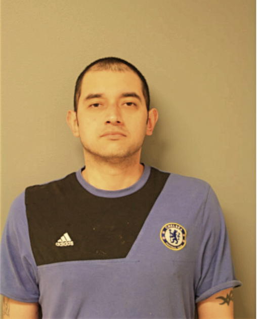 LUIS A NEVAREZ, Cook County, Illinois