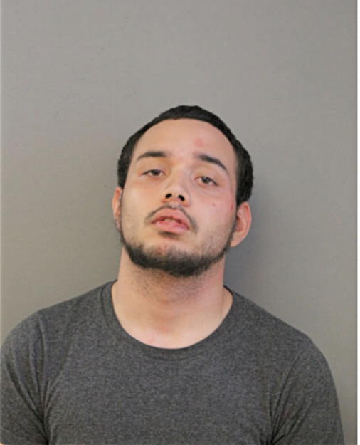 JONATHAN R REYES, Cook County, Illinois