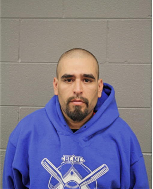 ERIC J REYNA, Cook County, Illinois