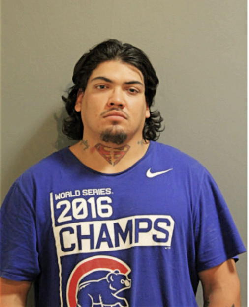 SERGIO A ROSA, Cook County, Illinois