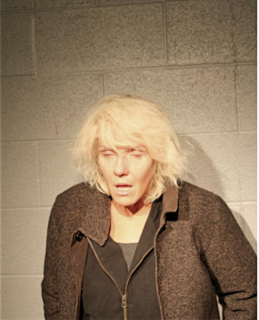 VICTORIA SALVATO, Cook County, Illinois