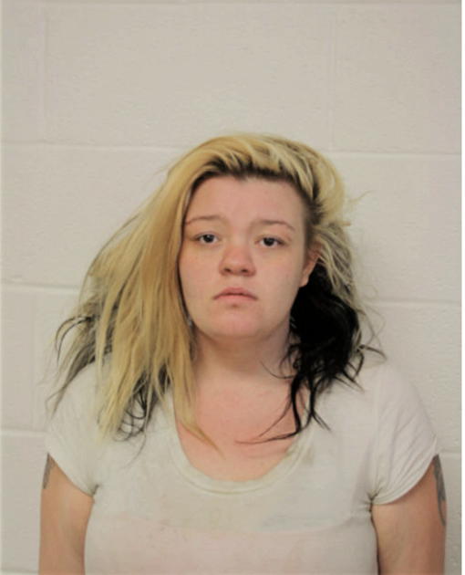 AMANDA J SANDERS, Cook County, Illinois