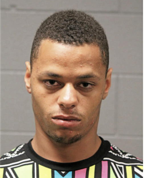 KYLE S SANDRE, Cook County, Illinois