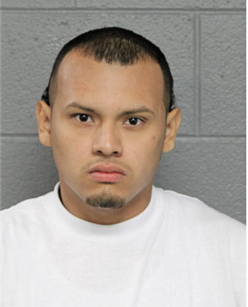 ABEL R TAMAYO, Cook County, Illinois