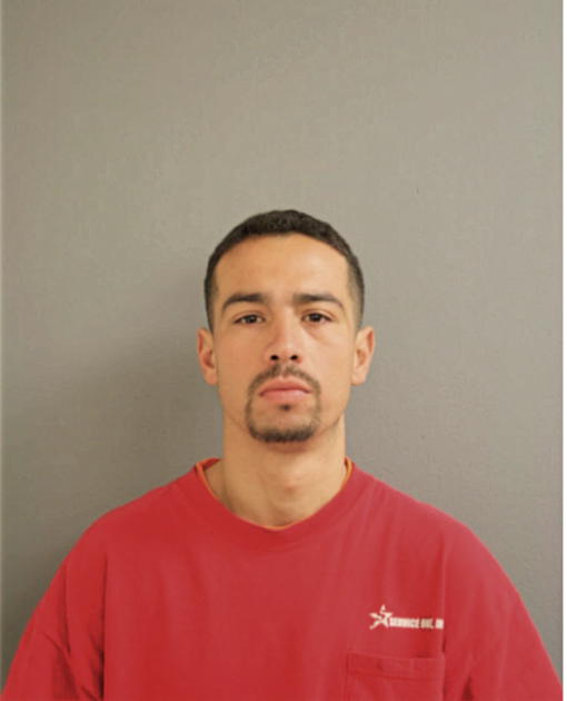 JOSE L VILLEGAS, Cook County, Illinois