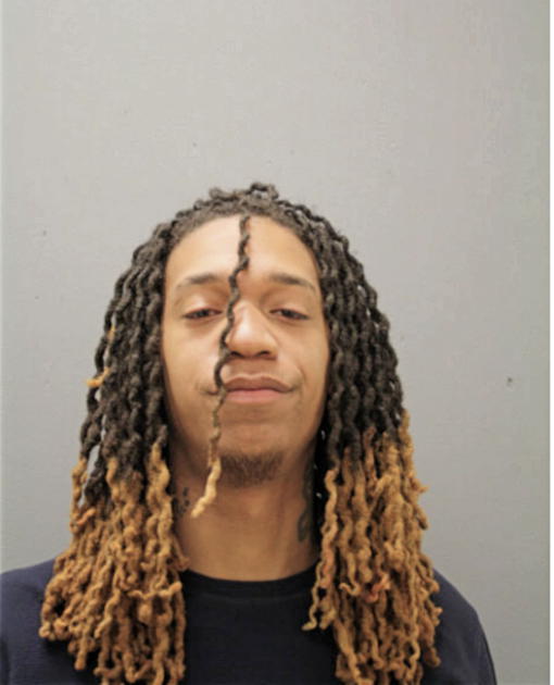 TERENCE J WHITE, Cook County, Illinois