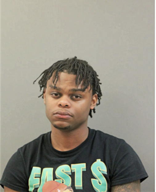 DESHAUN Q WILLIAMS, Cook County, Illinois