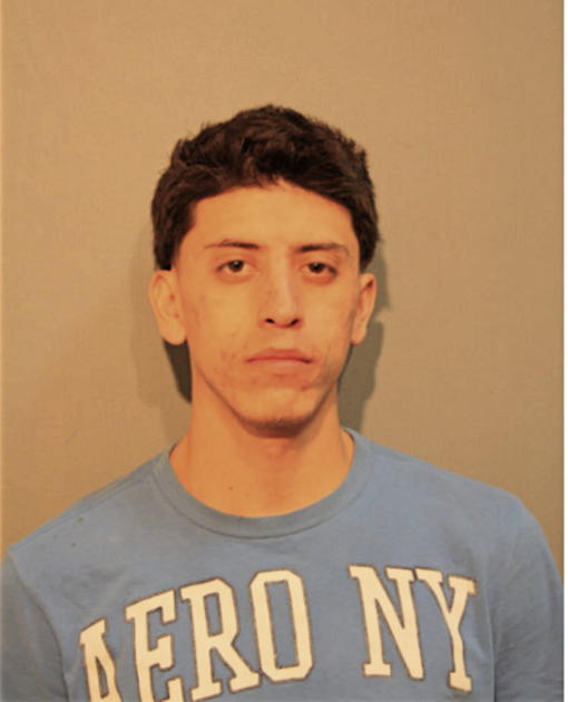 RENE J ALDANA, Cook County, Illinois