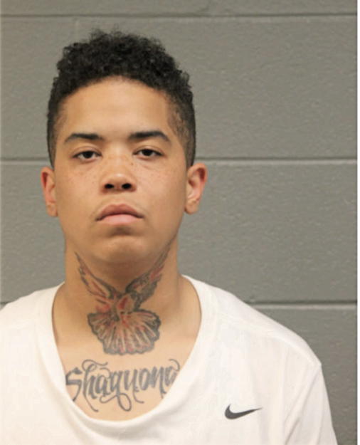 JAY L BAUMANN, Cook County, Illinois
