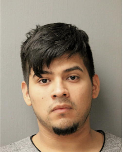 ROBERTO A CANALES-RAMIREZ, Cook County, Illinois