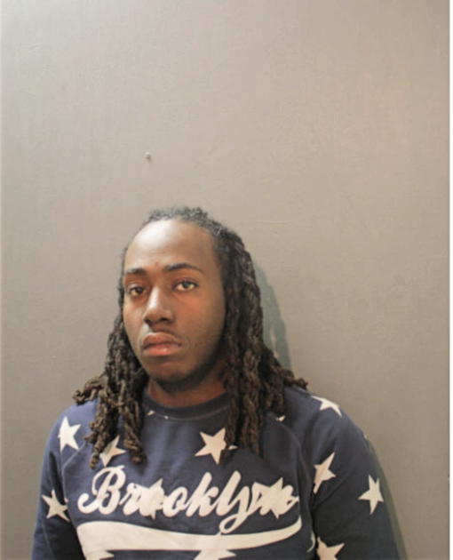 AARON S ELLERSON, Cook County, Illinois