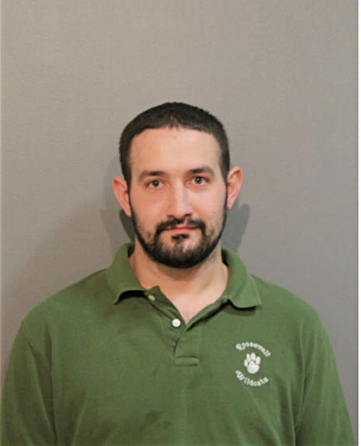 NICHOLAS G GIANOPOLUS, Cook County, Illinois