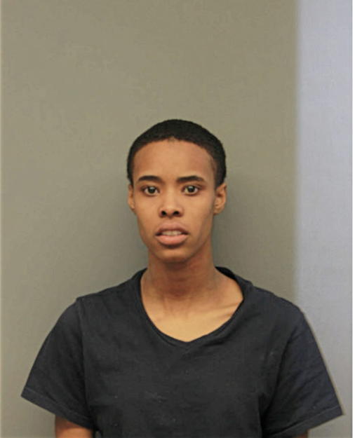 CHRISTINA AERIAL JOHNSON, Cook County, Illinois