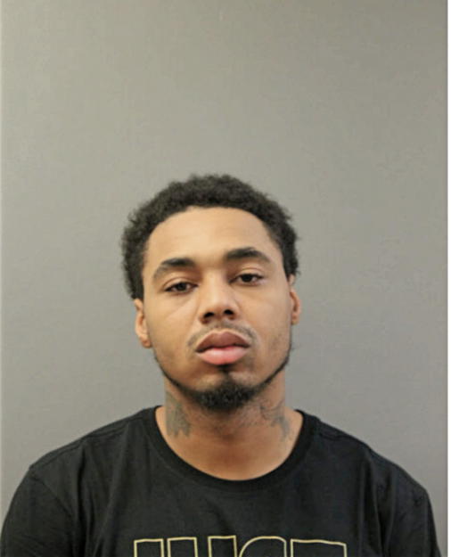 MICHAEL D LANDERS, Cook County, Illinois