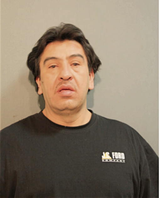 JOSE M LUNA, Cook County, Illinois