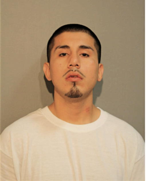 RAUL MENDIOLA, Cook County, Illinois