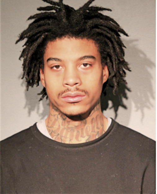 DEMARCO D MILES, Cook County, Illinois