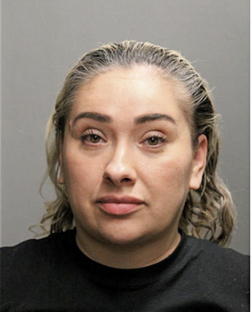 NOHEMI A NAVARRO, Cook County, Illinois