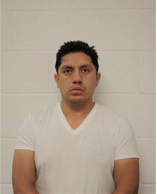 CARLOS A PARRA, Cook County, Illinois