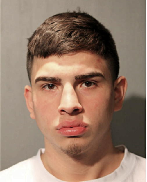 LEWIS A PELAYO, Cook County, Illinois