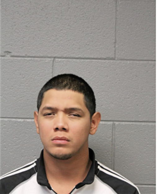 BRYAN F POLANCO, Cook County, Illinois