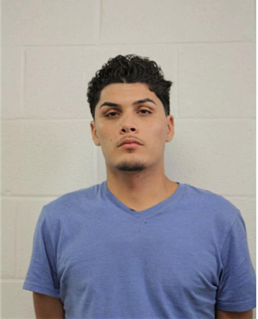 ALEX J RAYMUNDO, Cook County, Illinois
