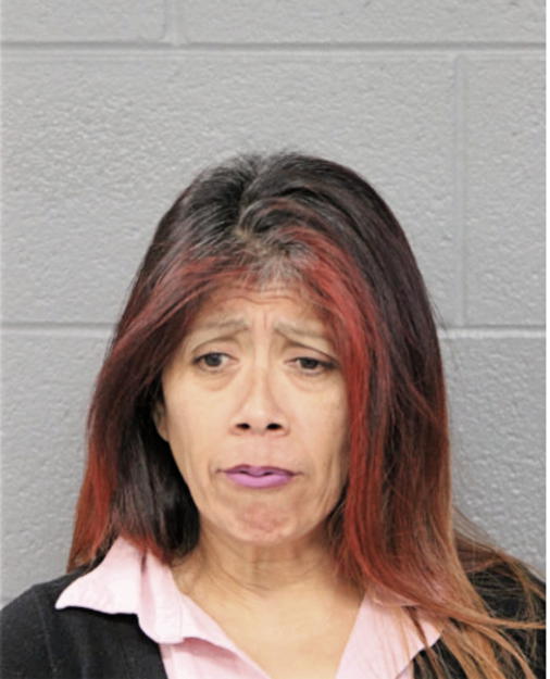 THERESA N RIVERA, Cook County, Illinois