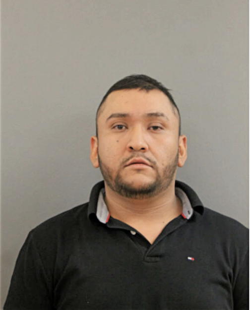 SALVADOR SALINAS, Cook County, Illinois