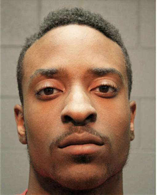 MAGELLAN P STEWARD, Cook County, Illinois