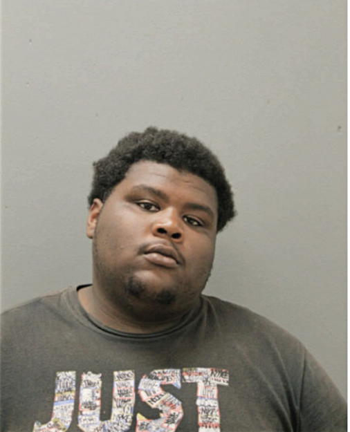 JOSHUA J STEWART, Cook County, Illinois