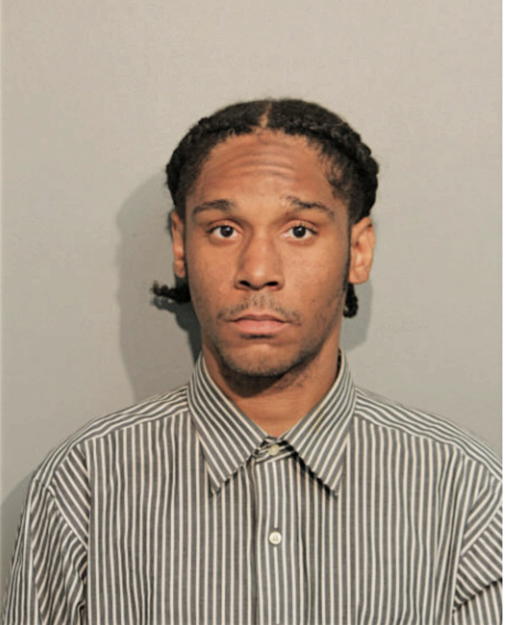 TYRONE L STICKLAND, Cook County, Illinois