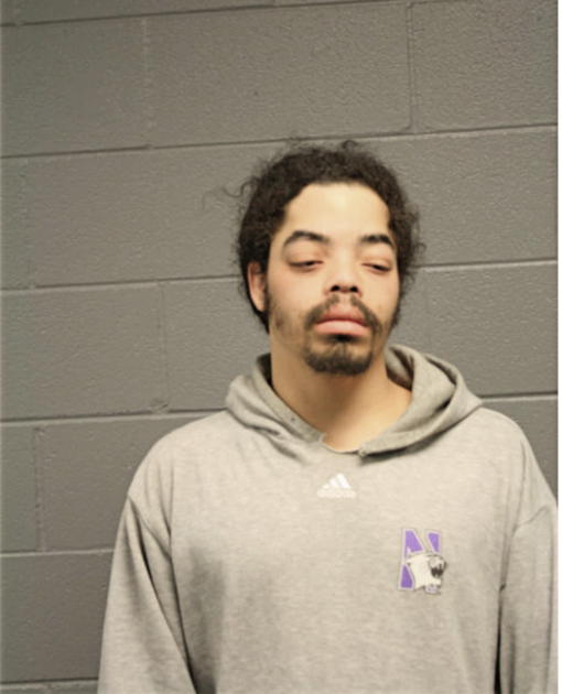 RUDY M THOMPSON, Cook County, Illinois