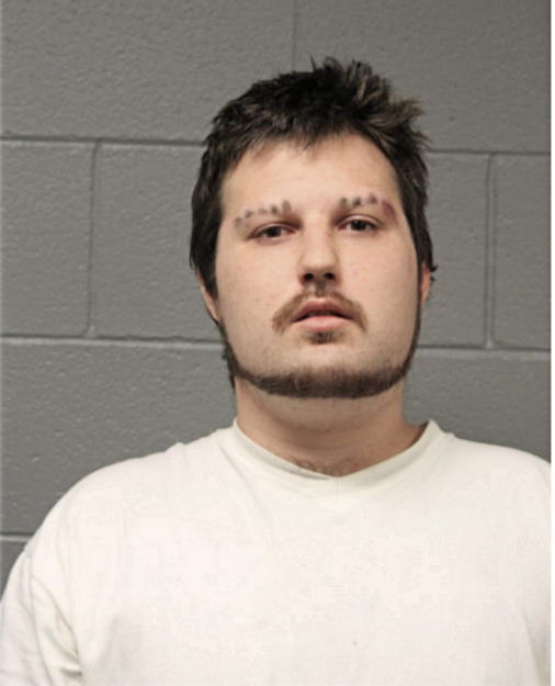 ANTHONY J VERTHEIN, Cook County, Illinois