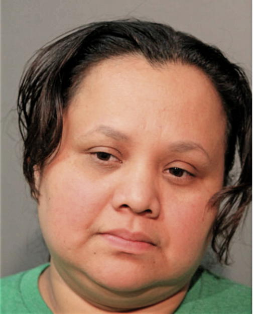 MINDRI LISELI VILLATORO GOMEZ, Cook County, Illinois