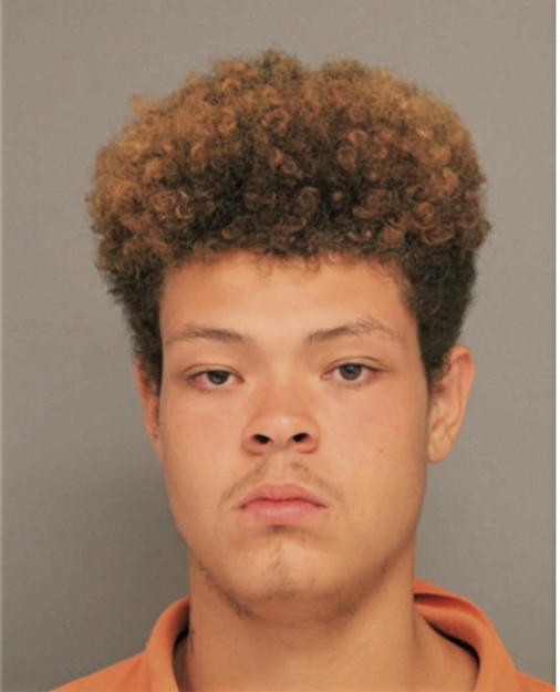 DAVON L YOUNG, Cook County, Illinois