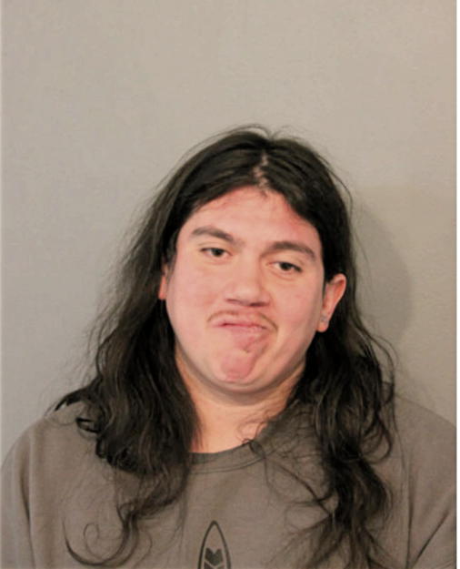 MICHAEL A ALVARADO, Cook County, Illinois