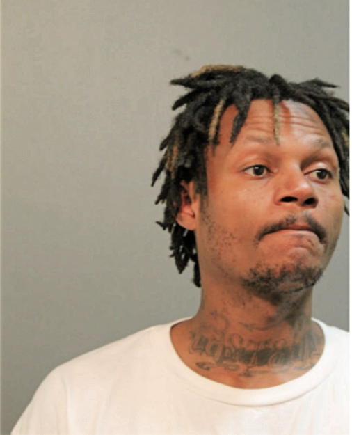 EARL L ANDERSON, Cook County, Illinois