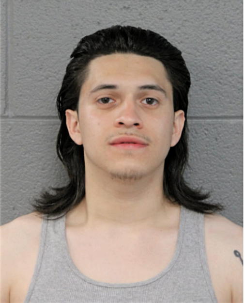 ALEXIS ANDRADE, Cook County, Illinois